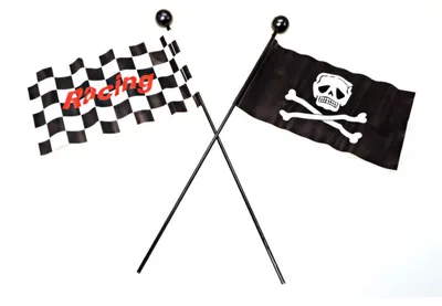 Image de Filmer 40156 Drapeau de vélo - Style - 113cm de long - Tête de mort pirate ou Racing Flag