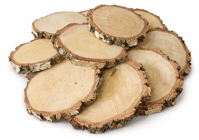 Produktbild von Holzscheibe 8–10 / 1 cm, Birke, ungeschliffen, mit dicker Rinde, 10er-Set