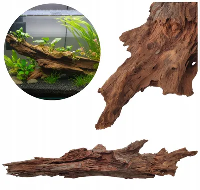 Zdjęcie produktu dla Ozdoba do akwarium, korzeń namorzynowy 50–70 cm, ciemnobrązowy