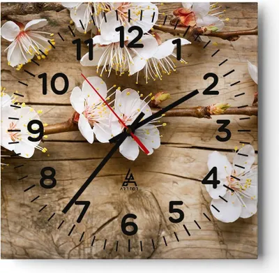 Produktbild von Wanduhr - Quadrat - Glasuhr - Blume Stängel - 30x30cm - Schleichendes Uhrwerk - Lautlos - zum Aufhängen bereit - Dekoration Modern - Wanddekoration aus Glas - C4AC30x30-3537