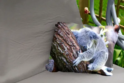 Produktbild von MuchoWow® Outdoor Kissen - Koala - Baum - Schlaf - Kinder - Jungen - Mädchen - 60x40 cm - Wetterfest - Lounge Kissen - Zierkissen - Kissen für Innenräume