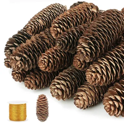Productafbeelding van Dennenappeldecoratie - Set van 20 - Groot - 10-12 cm