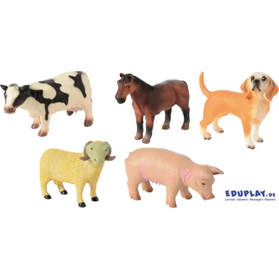 Produktbild von Eduplay Bauernhof Tiere Spielzeug Set - Riesen Tierfiguren 5 Stück