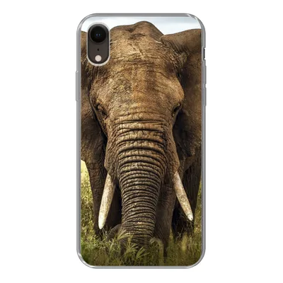 Produktbild von MuchoWow® Handyhülle Schutzhülle Hülle für iPhone XR Elefant - Gras - Tiere - Natur Silikon Softcase Handy Hülle - Schutzdeckel