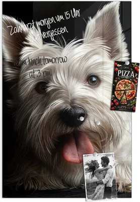 Produktbild von Magnettafel 60x90cm Pinnwand Whiteboard beschreibbar - Weisser Hund