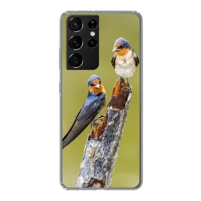 Produktbild von MuchoWow® Handyhülle Schutzhülle Hülle für Samsung Galaxy S21 Ultra Vögel - Zweig - Porträt Silikon Softcase Handy Hülle - Mobiltelefon