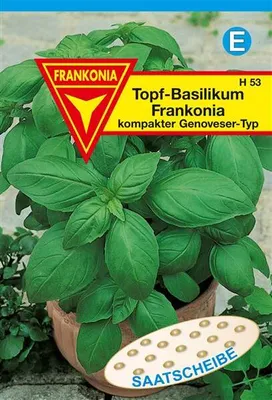 Produktbild von Topf-Basilikum Saatscheibe