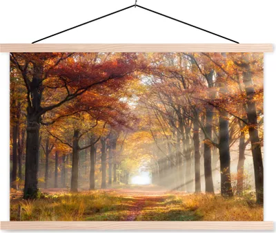 Produktbild von MuchoWow® Textilposter Herbst - Wald - Baum 60x40 cm mit holzfarbenen Rahmen - Bilder