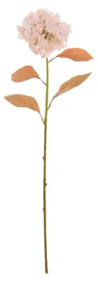 Produktbild von Weihnachtszweig mit rosa Hortensien, H. 90 cm