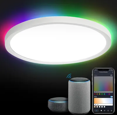 Produktbild von 24W Smart LED Deckenleuchte für Kinderzimmer, Wohnzimmer - Alexa Lampe, dimmbar, RGB
