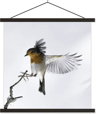 Produktbild von MuchoWow® Textilposter Nahaufnahme Vogel 90x90 cm mit schwarzem Rahmen - Magnetisches