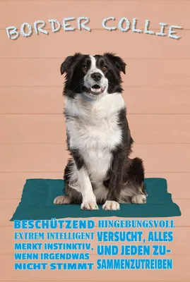 Produktbild von vianmo Holzschild 30x20 cm Border Collie Hund intelligent