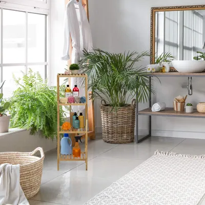 Image de Etagère de salle de bain en noyer avec étagères ouvertes