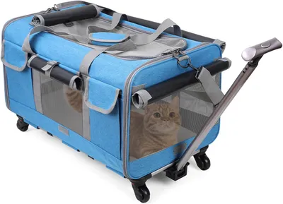 Produktbild von Transporttasche für Katze mit Rollen,Atmungsaktiv Katzen Transporttasche für 2 Katzen,Faltbarer Katzentransportbox Hundetragetasche mit Teleskopgriff,Herausnehmbare Matte, ideal für Reisen