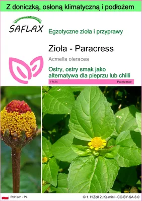 Zdjęcie produktu dla SAFLAX - Garden to go - Zioła - Paracress - 500 Nasiona - Z doniczką, pokrywą klimatyczną i podłożem do uprawy - Acmella oleracea