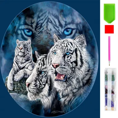 Produktbild von Malen nach Zahlen XL 5d Diamond Painting Weißer Tiger Malen nach Zahlen 50x65cm