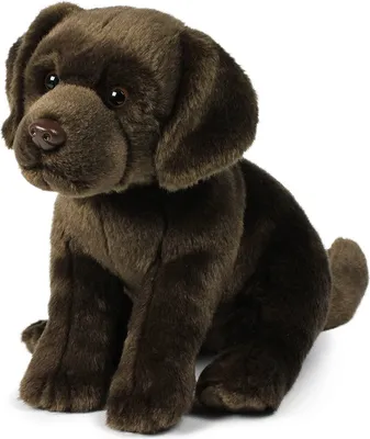 Immagine prodotto di Peluche Anna Club - Cane Labrador (marrone, 26cm) peluche realistico