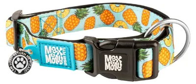 Produktbild von Max & Molly Hundehalsband, Welpenhalsband mit Powerschnalle, lustiger Stil für k