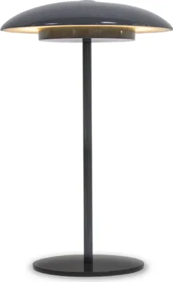 Image de Nouvelle lampe de jardin SARDINIA 30 anthracite à batterie