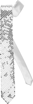 Immagine prodotto di Cravatta con paillettes argento