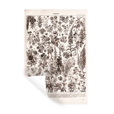 Produktbild von MuchoWow® Wandtattoo Wandsticker Wandaufkleber Blumen - Pflanzen - Schwarz - Weiß 80x120 cm Selbstklebend und Repositionierbar - Repositionierbar - Wasser abweisend