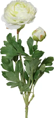 Produktbild von Kunstblume, Seidenblume RANUNKEL ca 40cm CREME