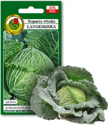 Produktbild von PNOS Gemüsesamen Langedianischer Kohl, Packung 2g