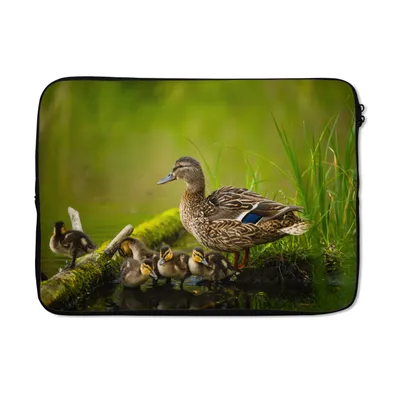 Produktbild von MuchoWow® Laptop Hülle 13 Zoll Ente - Vögel - Wasser - Zweig - Moos Laptoptasche - Laptophülle - Sleeve - Rundumschutz
