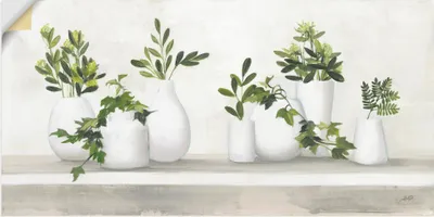 Produktbild von ARTland Wandbild, selbstklebend Plant Life Größe: 40x20 cm