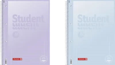 Two spiral-bound notebooks with translucent covers, one purple and one light blue, are shown side-by-side against a white background.