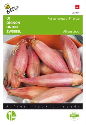 Zdjęcie produktu dla Cebula Rossa Lunga Di Firenze | Nasiona cebuli od Buzzy Seeds