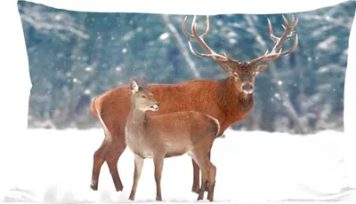 Produktbild von MuchoWow® Zierkissen Sofakissen Wohnzimmer Dekokissen 50x30 cm Hirsche - Wald - Schnee - Wohnzimmerdekoration - Polster mit Photo