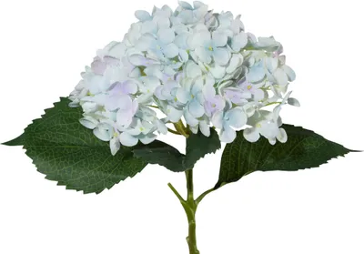 Produktbild von ohne Marke Kunstpflanze Hortensie blau OneSize