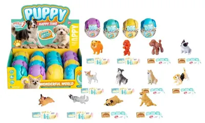 Imagen del producto de Cachorro sorpresa, mezcla de razas