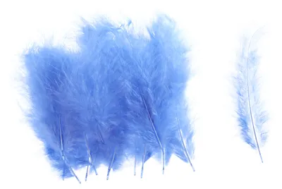 Produktbild von Marabufedern, ca. 15 Stück Blau