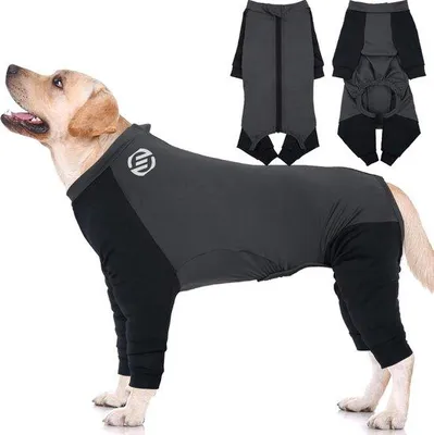 Image de Pyjama pour chien - Pull pour chien - Vêtements pour chiens - Gris - Taille S