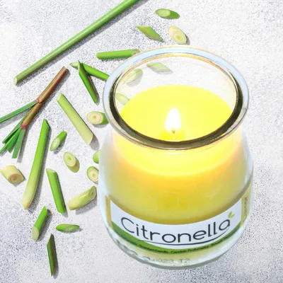 Produktbild von Set von 4 Zitronella-Duftkerzen im Glas 7 x 6 cm 24 Brennstunden