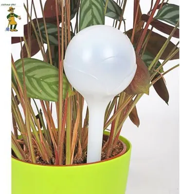 Image de Grüner Jan Système d'arrosage Boule d'eau 0,3l Arrosage des plantes Distributeur d'eau