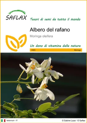 Immagine prodotto di SAFLAX  - Albero del rafano  - 10 semi - Moringa