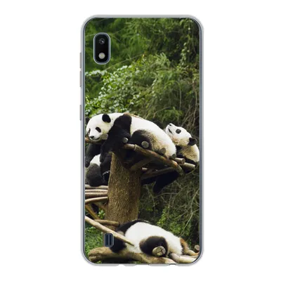 Produktbild von MuchoWow® Handyhülle Schutzhülle Hülle für Samsung Galaxy A10 Pandas - Holz - Treppe Silikon Softcase Handy Hülle - Schutzhülle