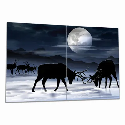 Produktbild von Wallario Herdabdeckplatte aus Glas, Größe 80 x 52 cm 2-teilig, Motiv Elch im Schnee bei Mondschein - Silhouette am Abend