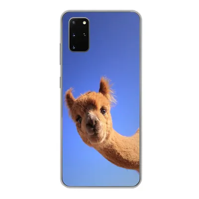 Produktbild von MuchoWow® Handyhülle Schutzhülle Hülle für Samsung Galaxy S20 Plus Alpaka - Braun - Blau Silikon Softcase Handy Hülle - Hartschale