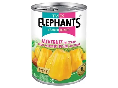 Produktbild von TWIN ELEPHANTS Jackfrucht stark gezuckert (Ganz) 565g/ATG 230g | Jackfruit in Sirup