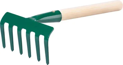 Image de Râteau de jardin FED 109/250, 6 dents, manche en bois