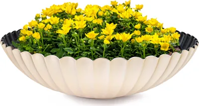 Produktbild von Dekoschale runde Pflanzschale für draussen champagner gold 35 cm