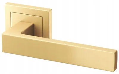 Image de Gamar Poignée de porte ERGO Or mat support ressort