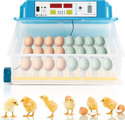 Obrázek produktu pro TolleTour Inkubátor plně automatický, inkubátor 64 inkubátorů vajec s displejem, inkubátor s regulací teploty pro líhnutí vajec pro slepice husy, kachny, holuby, křepelky