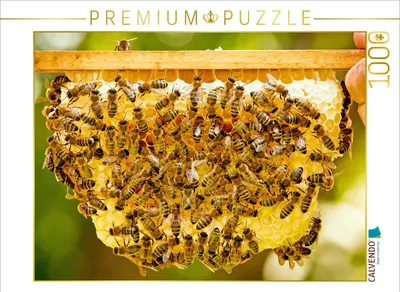 Produktbild von CALVENDO Puzzle Imker zeigt eine seiner Bienenwaben mit vielen Honigbienen. | 1000 Teile Lege-Größe 64x48cm Foto-Puzzle für glückliche Stunden