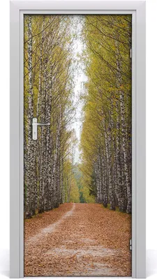 Immagine prodotto di Adesivi decorativi per pareti, dimensioni 85x205 cm. Adesivi autoadesivi, impermeabili, rimovibili. Ideali per camere da letto, soggiorni e arredamento. Marca: Birkenwald