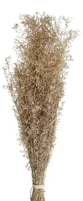Obrázok produktu pre Pomax, sušené kvety, prírodné, výška 70 cm